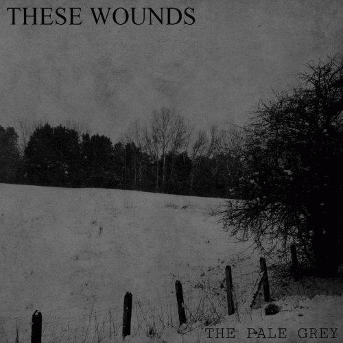 These Wounds : The Pale Grey